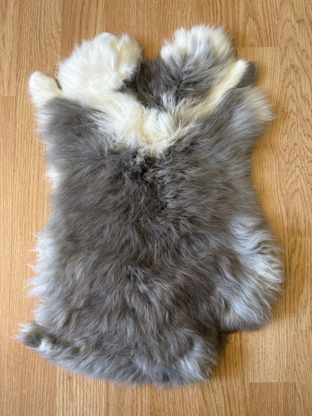 B0016 rabbit pelt